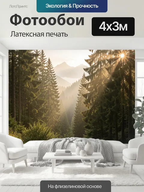 400 × 300 см · Латексная печать