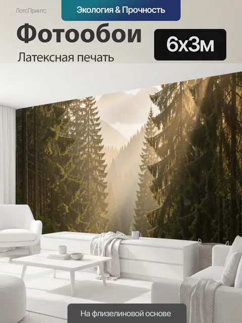 600 × 300 см · Латексная печать