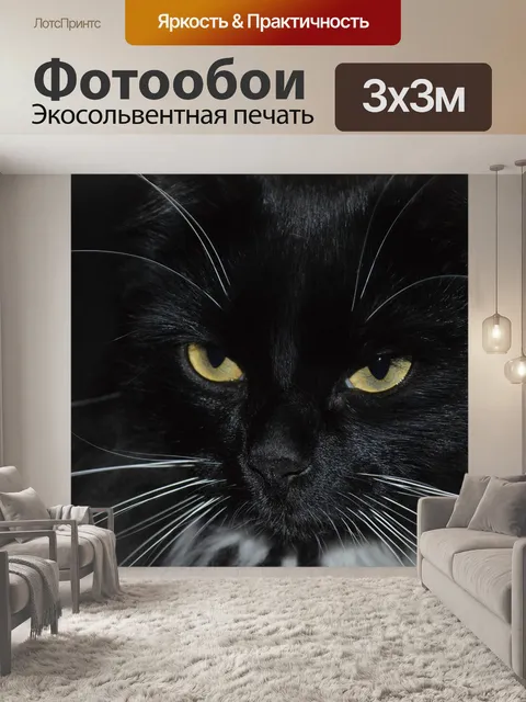Фотообои Cat, black cat, cat's eyes