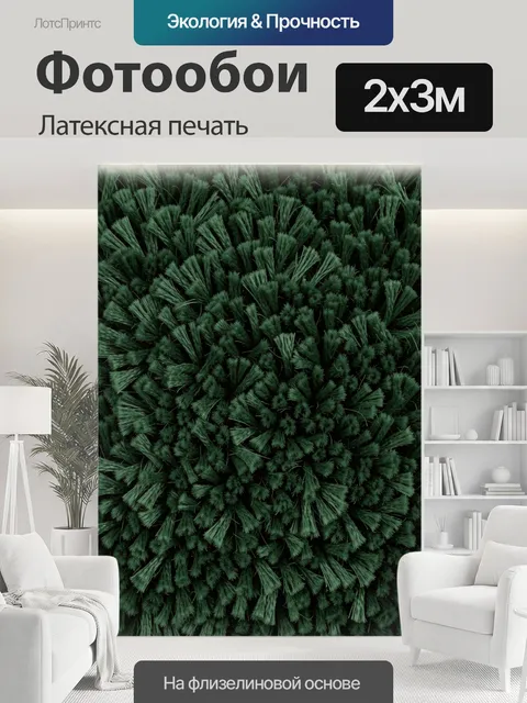 200 × 300 см · Латексная печать