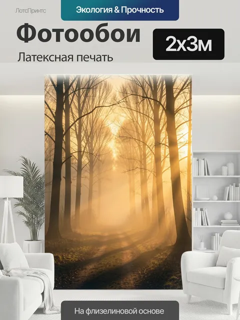 200 × 300 см · Латексная печать