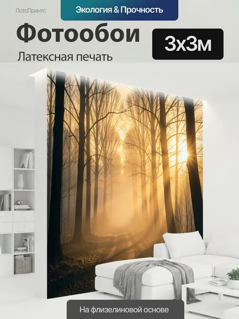 300 × 300 см · Латексная печать