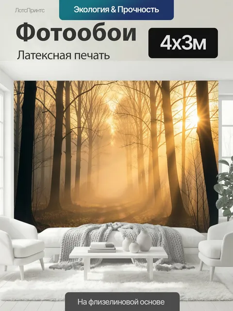 400 × 300 см · Латексная печать