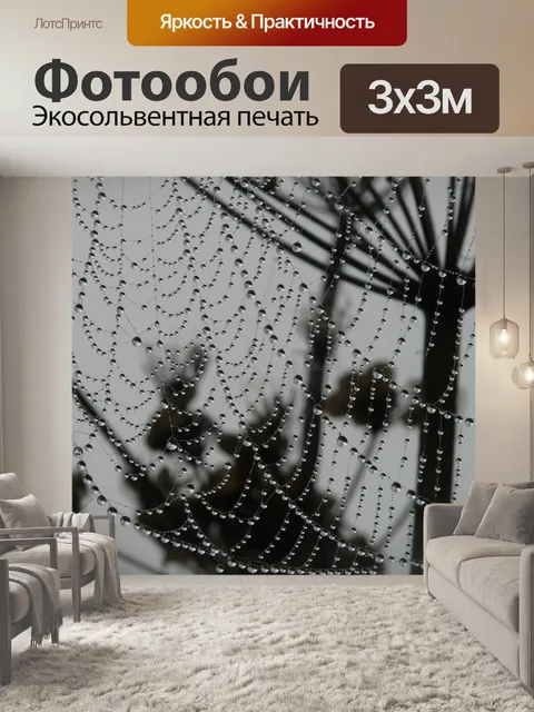 Фотообои Паутина, утренняя роса, роса