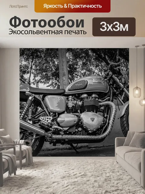 Фотообои Мотор, черно-белый, б ж
