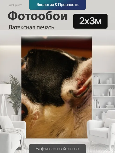 200 × 300 см · Латексная печать