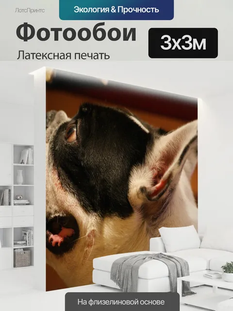 300 × 300 см · Латексная печать