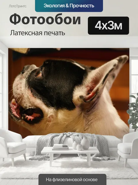 400 × 300 см · Латексная печать