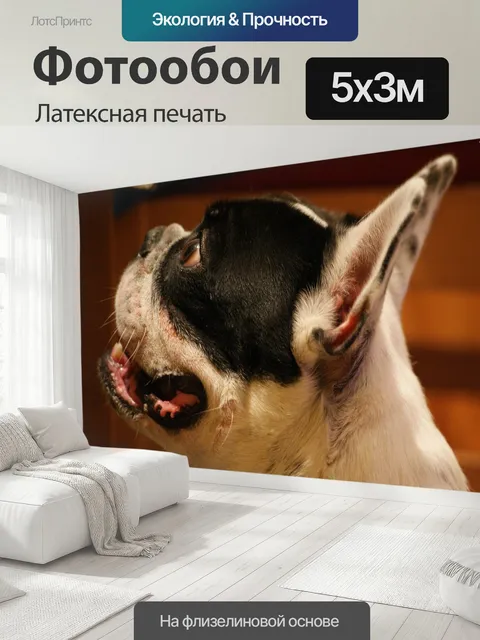 500 × 300 см · Латексная печать
