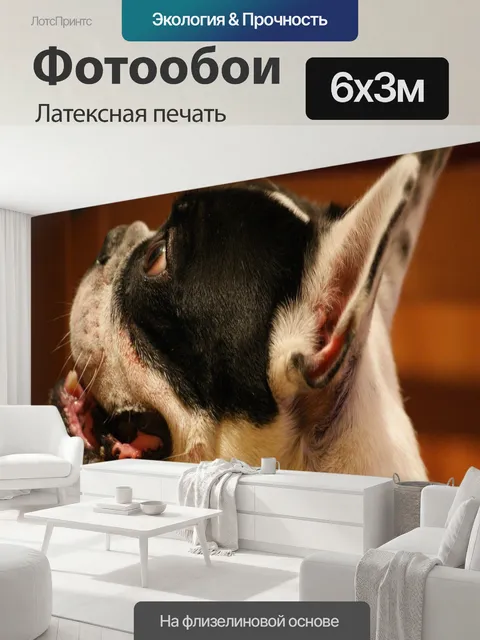 600 × 300 см · Латексная печать
