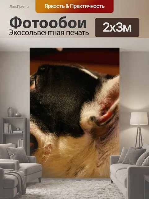 200 × 300 см · Экосольвентная печать