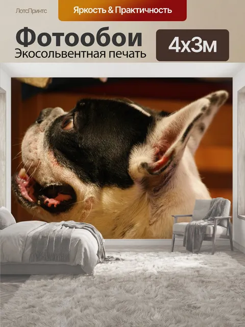 400 × 300 см · Экосольвентная печать