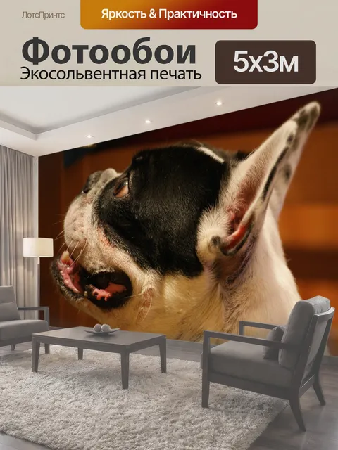 500 × 300 см · Экосольвентная печать