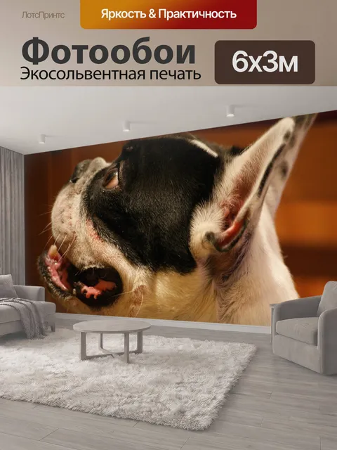 600 × 300 см · Экосольвентная печать