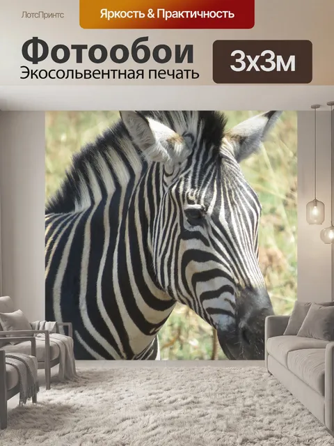 Фотообои Животное, африка, голова зебры