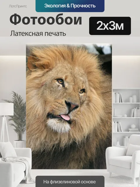 200 × 300 см · Латексная печать