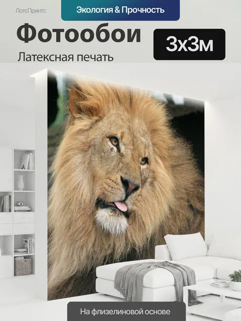 300 × 300 см · Латексная печать