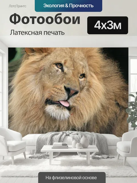 400 × 300 см · Латексная печать