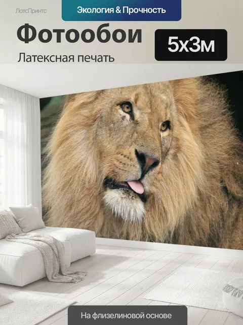 500 × 300 см · Латексная печать