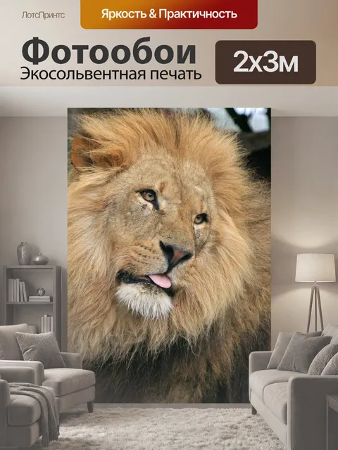 200 × 300 см · Экосольвентная печать