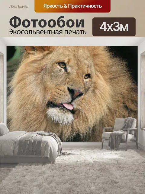 400 × 300 см · Экосольвентная печать