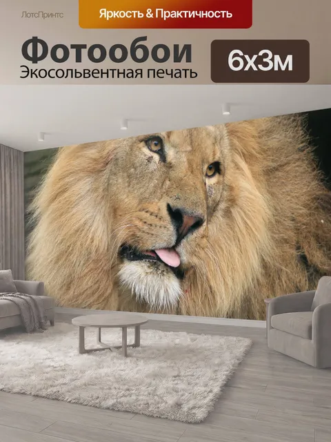 600 × 300 см · Экосольвентная печать