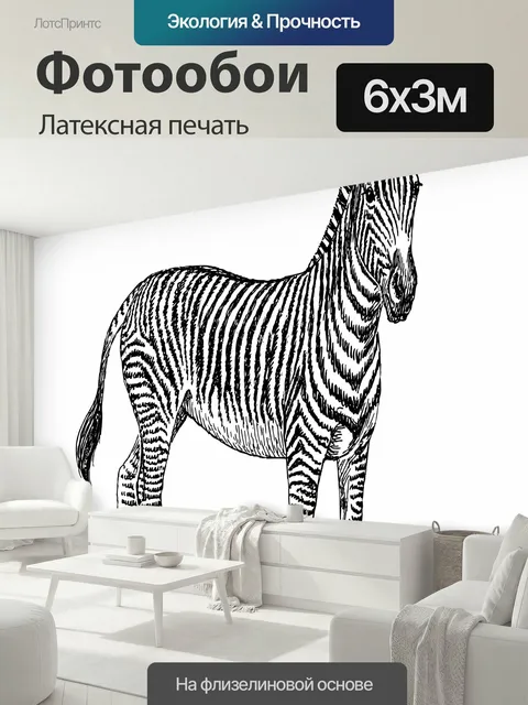 600 × 300 см · Латексная печать