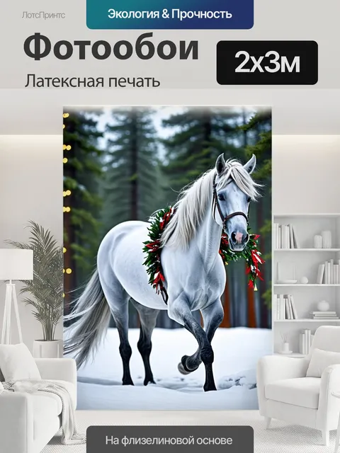 200 × 300 см · Латексная печать