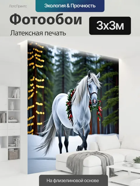 300 × 300 см · Латексная печать
