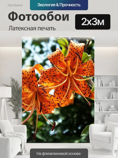 200 × 300 см · Латексная печать