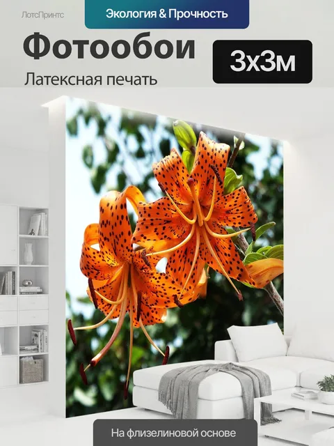300 × 300 см · Латексная печать