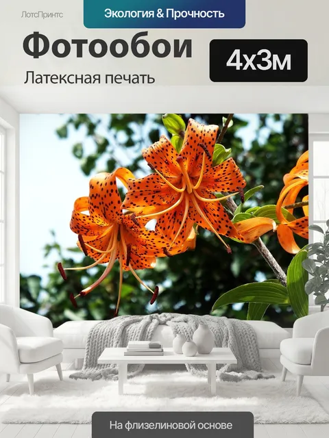 400 × 300 см · Латексная печать