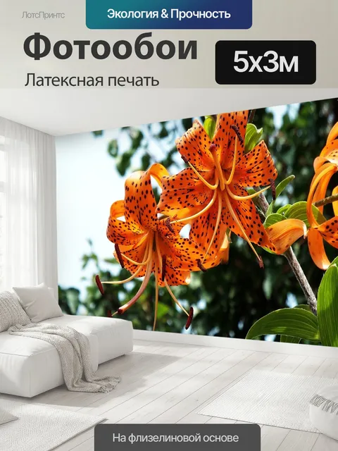 500 × 300 см · Латексная печать
