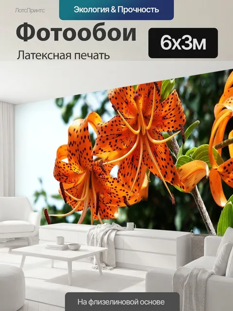 600 × 300 см · Латексная печать