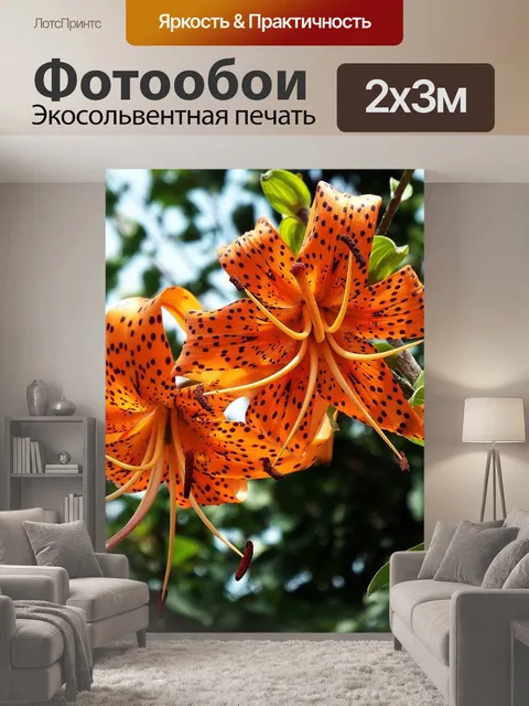 200 × 300 см · Экосольвентная печать