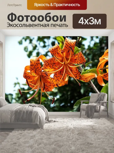 400 × 300 см · Экосольвентная печать