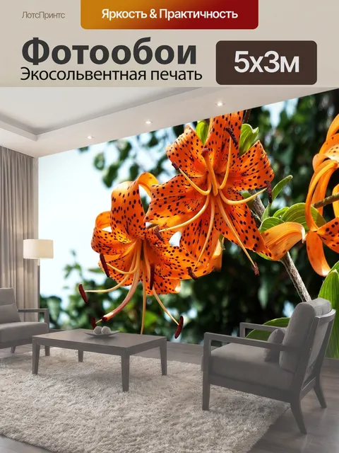 500 × 300 см · Экосольвентная печать
