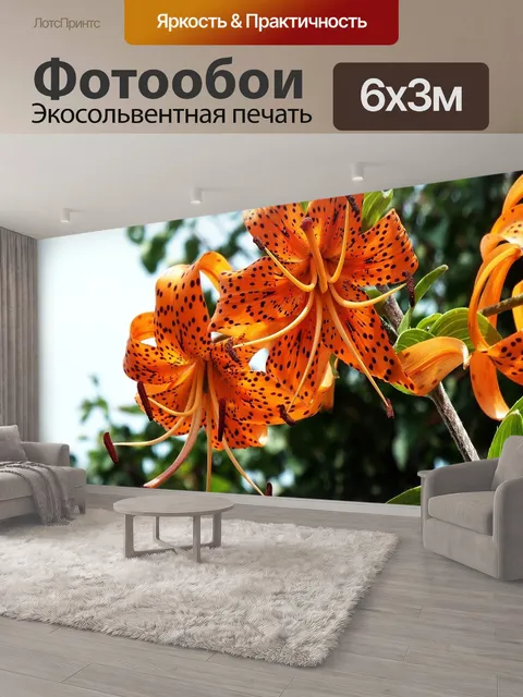 600 × 300 см · Экосольвентная печать