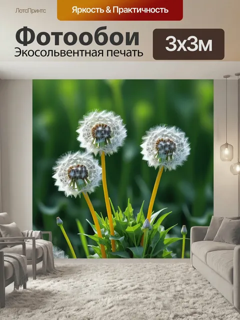 Фотообои Одуванчики, превращающиеся в пушистые шарики
