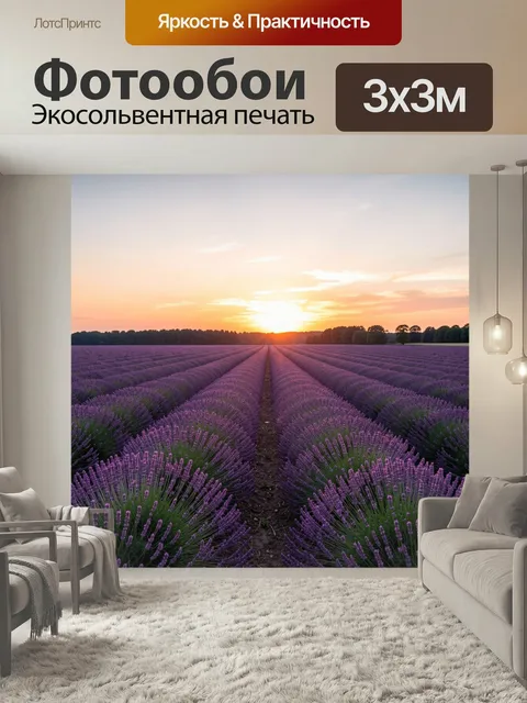 Фотообои Лавандовое поле на закате. Бескрайние ряды цветущей лаванды уходят к горизонту, над ними теплое вечернее небо…