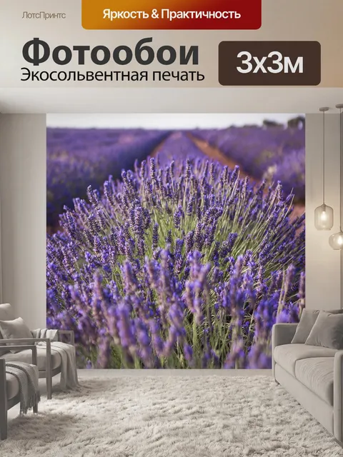 Фотообои Лаванда, природа, поле