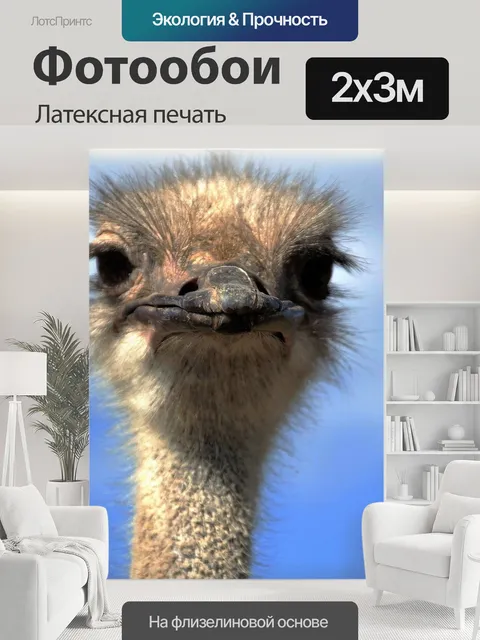 200 × 300 см · Латексная печать