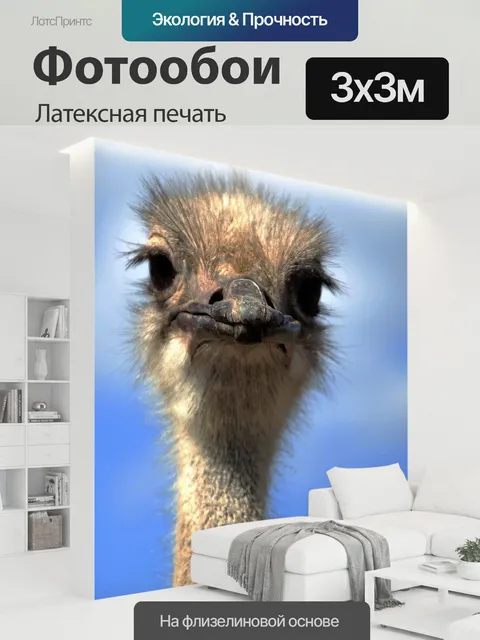 300 × 300 см · Латексная печать