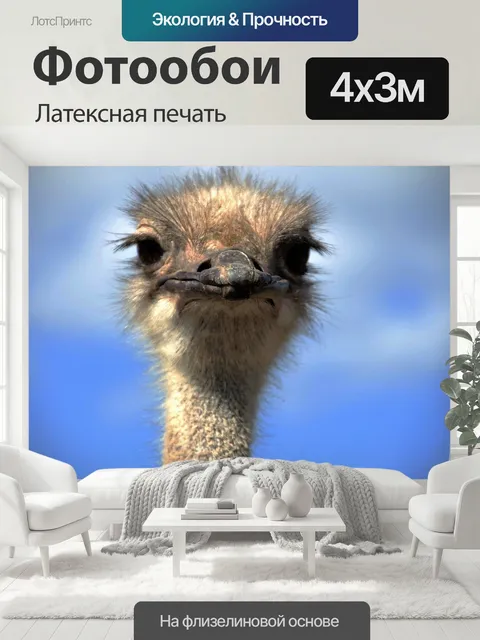 400 × 300 см · Латексная печать