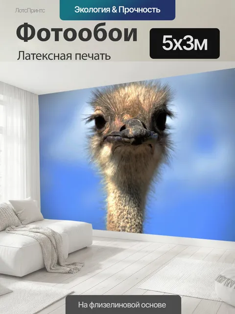 500 × 300 см · Латексная печать