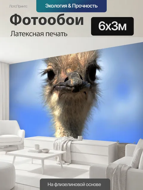 600 × 300 см · Латексная печать
