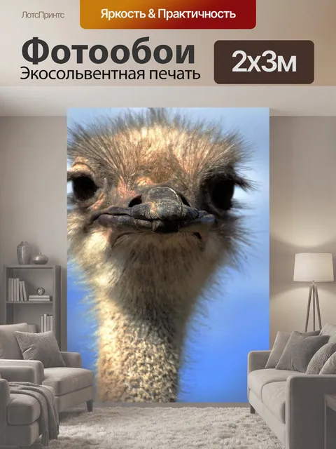 200 × 300 см · Экосольвентная печать