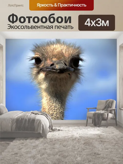 400 × 300 см · Экосольвентная печать