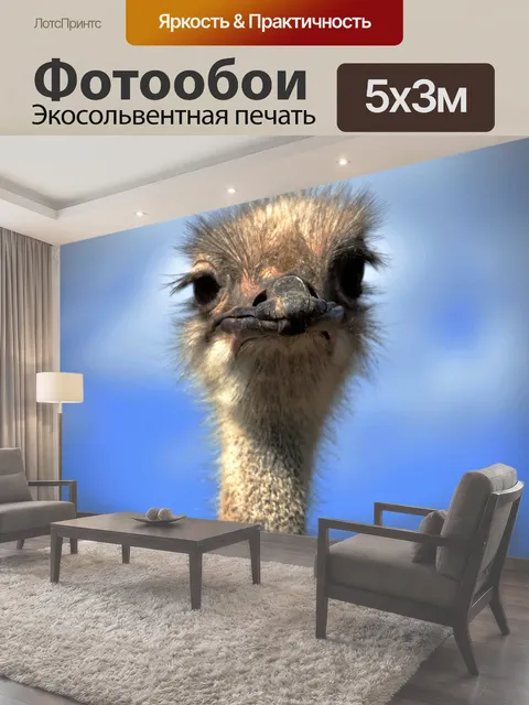 500 × 300 см · Экосольвентная печать