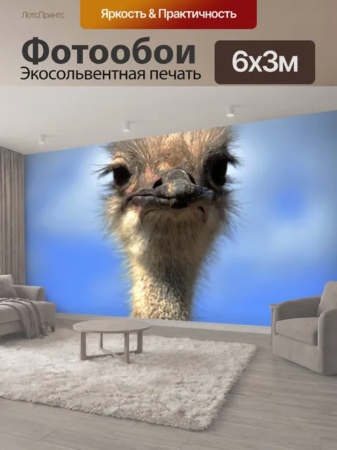 600 × 300 см · Экосольвентная печать